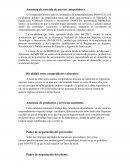 Amenaza de entrada de nuevos competidores