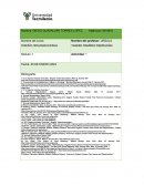 Analizar el diseño organizacional de una empresa