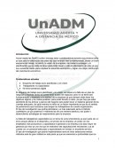 Líneas de investigación en la actualidad