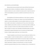 Sin consciencia, solo destruimos (ensayo sobre el cuidado ambiental)