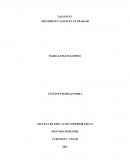 TALLER SALUD OCUPACIONAL