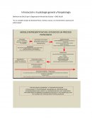 Introducción a la patología general y fisiopatología
