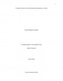 El análisis financiero como herramienta de planeación y control