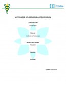 Nutrición en fisioterapia