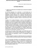 Caso practico estructura y cambio organizacional