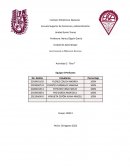 Investigación de Mercados Aplicada Actividad 1: “Brief”