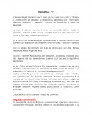 Diagnóstico 3 “B”