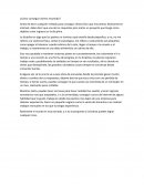 ¿Cómo conseguir dinero resumido?