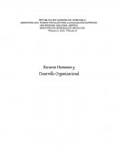 Recursos Humanos y Desarrollo Organizacional