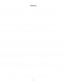 Importadora Insumed S.A