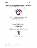 Capacidad del proceso