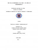 GESTION DE COMPRAS (SOBREVALORACION)