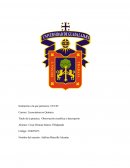 Observación científica y descripción