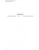 Cálculo Números Reales