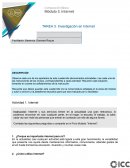 Investigación en Internet
