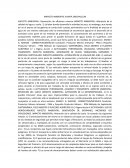 IMPACTO AMBIENTAL PLANTA ORICHALCUM