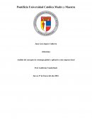 Análisis del concepto de estrategia global y aplicarlo a una empresa local