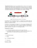 Ejercicio #5 fisica general