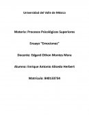 Ensayo Motivación y Emoción