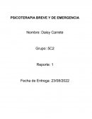 Psicoterapia breve y de emergencia