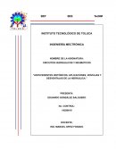 Historia de la neumática