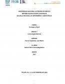 La ecología dinámica