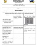 VALORACION DEL TORAX Y PULMONES