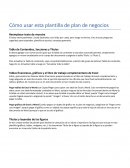 Cómo usar esta plantilla de plan de negocios