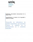 Desarrollo de indicadores de gestión ergonómica, que permitan evaluar el impacto de la disergonomía en 5 contextos laborales