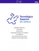 La organizacion mundial del trabajo