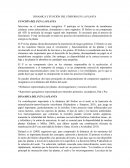 DINAMICA Y FUNCIÓN DEL FÓSFORO EN LA PLANTA