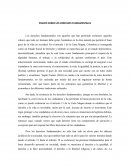 Ensayo sobre los derechos fundamentales