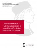 Actividad Modulo I: “ La imprudencia en la consideración de los accidentes de trabajo”