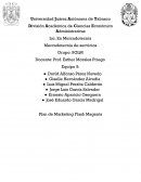 Plan de Marketing Flash Magenta