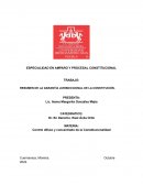 Resumen de la garantía jurisdiccional de la constitución