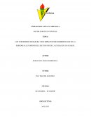 LOS VERTEDEROS DE BASURA Y SUS IMPACTOS SOCIOAMBIENTALES EN LA PARROQUIA LETAMENDI DEL SECTOR SUR DE LA CIUDAD DE GUAYAQUIL