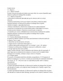 GALLETAS DE MALANGA LIBRE DE GLUTEN