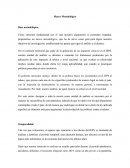 Marco Metodológico IEPS