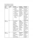 Ensayo uso del lenguaje y comunicación