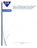 Debido proceso en el sistema de justicia para adolescentes