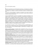 La retroalimentacion