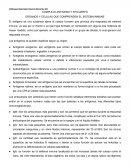 COMPLEJO ANTIGENO Y ANTICUERPO