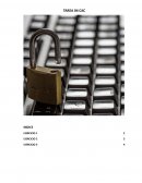 Cómo podríamos evitar los riesgos que, diariamente, amenazan los datos e información de las empresas?