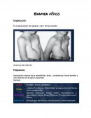 Examen físico