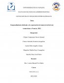 Emprendimiento dedicado a la exportación de tomate de árbol rojo ecuatoriano a Francia, 2023