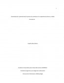 Sistematización y parametrización proceso de contratos en la cooperativa de ahorro y crédito Fincomercio