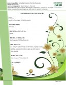 Indague el concepto de Deontología en informática