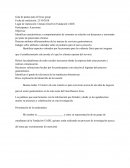 Informe Focus Group - guía de pautas