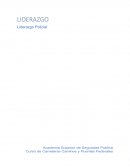 Liderazgo Policial