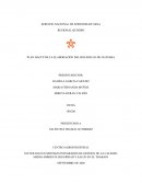 Plan HACCP para la eaboracion de bocadillo de guayaba